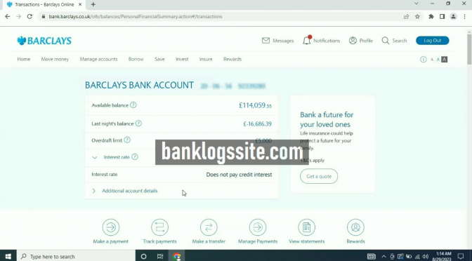 Bank Logs Website August 2023