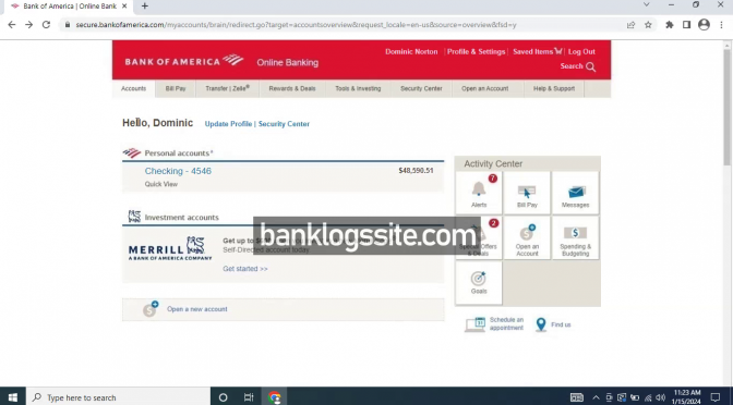 Bank Logs Website January 2024