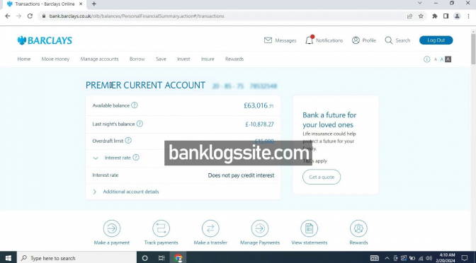 Bank Logs Cashout February 2024